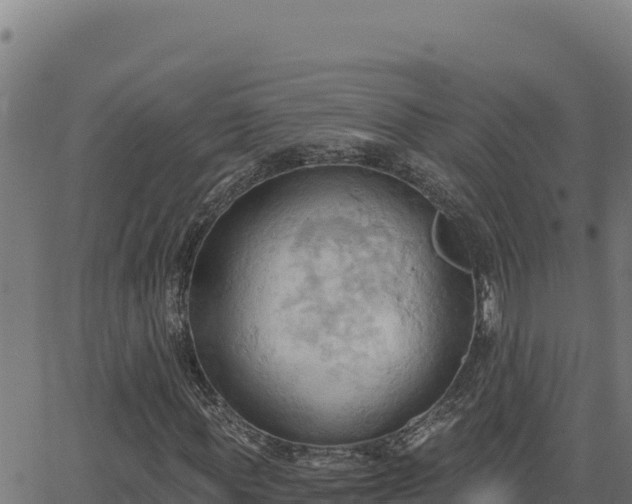 X0000062890819200601171511