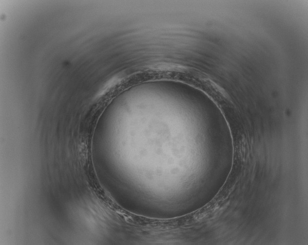 X0000062890821200601171511