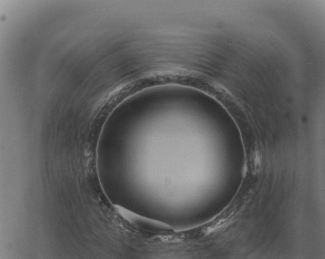 X0000062890822200601171511