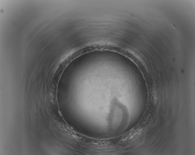 X0000062890823200601171511