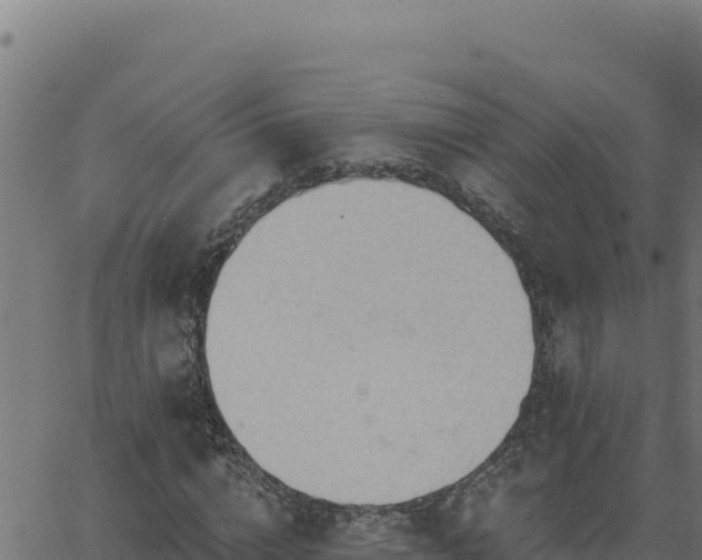 X0000062890824200601171511