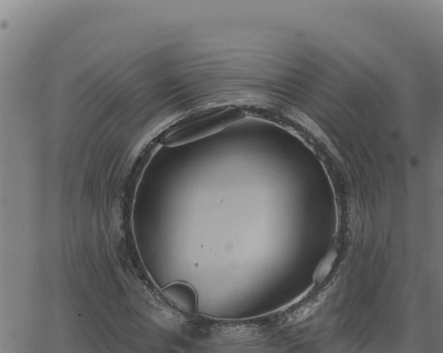 X0000062890826200601171511