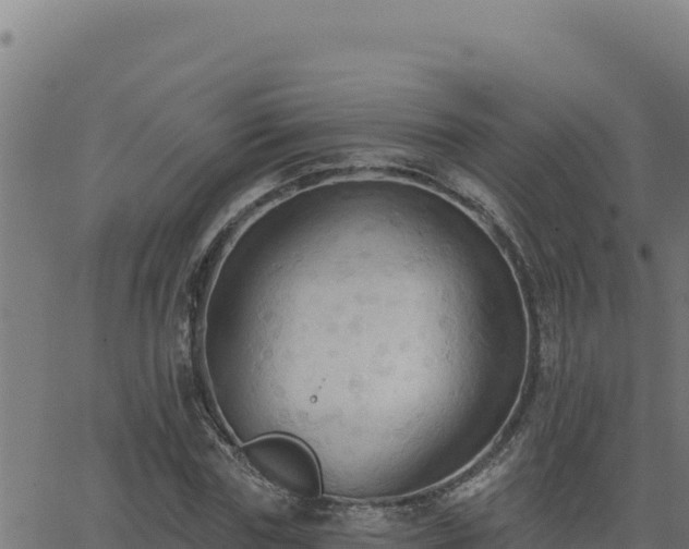 X0000062890827200601171511