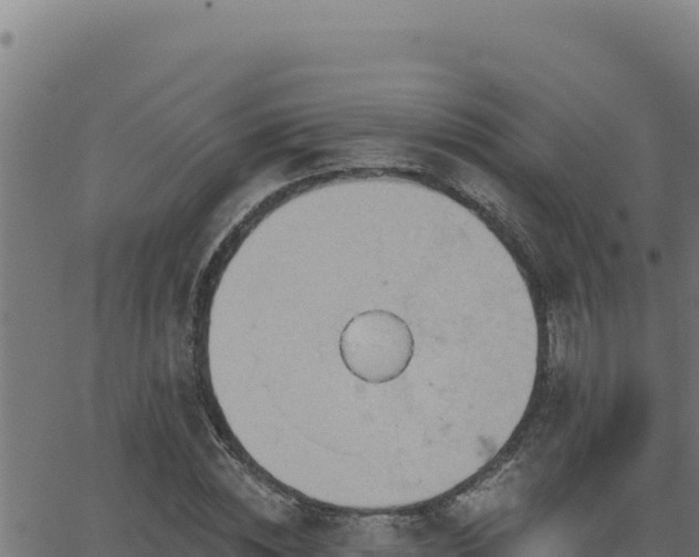 X0000062890828200601171511