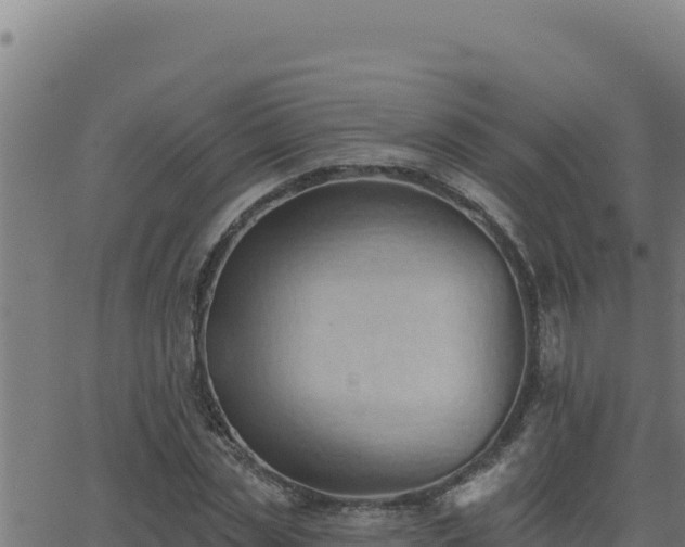 X0000062890829200601171511