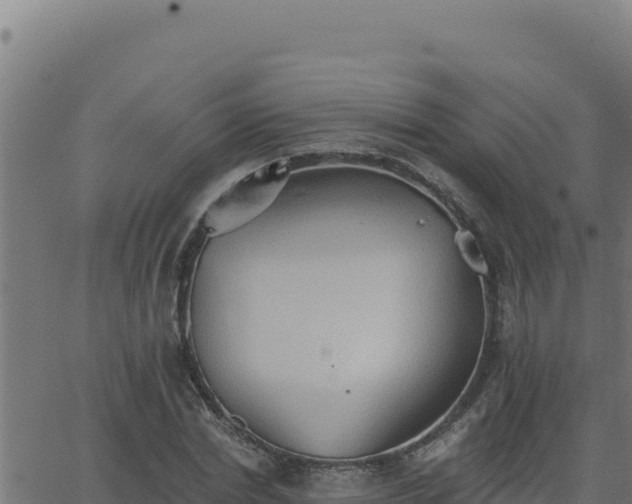 X0000062890830200601171511