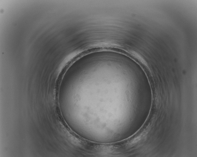 X0000062890831200601171511