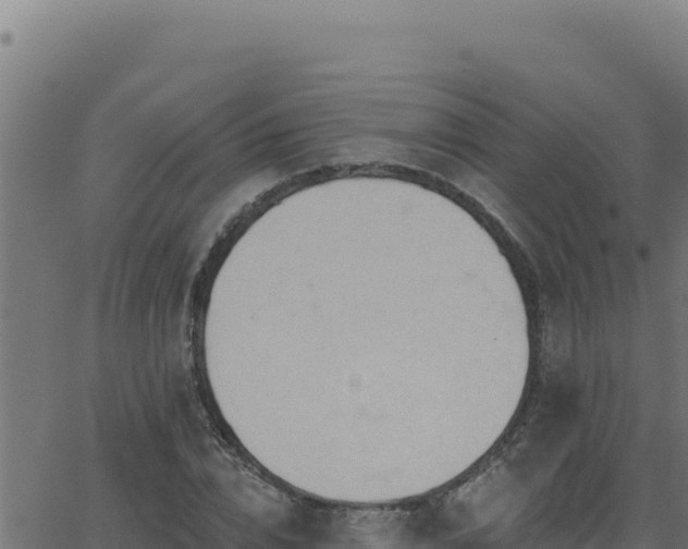 X0000062890832200601171511