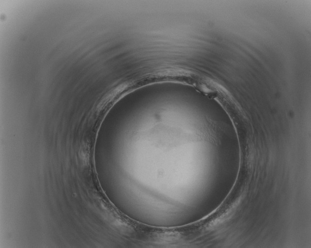 X0000062890833200601171511