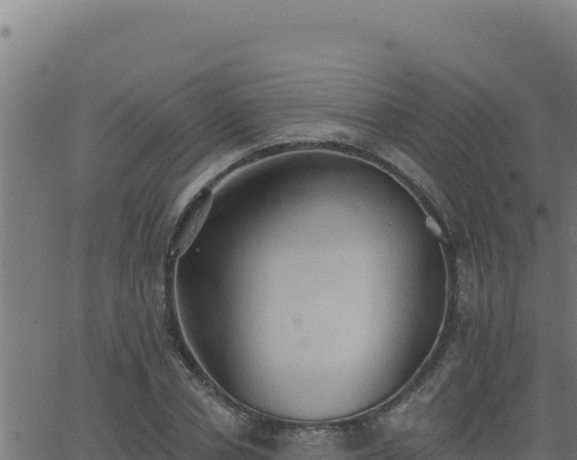 X0000062890834200601171511