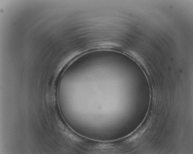 X0000062890835200601171511