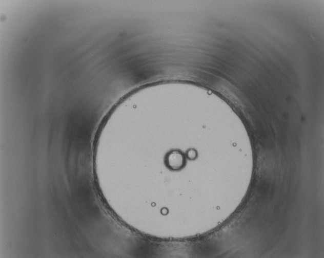 X0000062890836200601171511