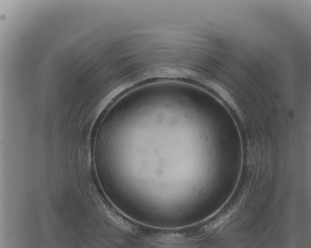 X0000062890837200601171511