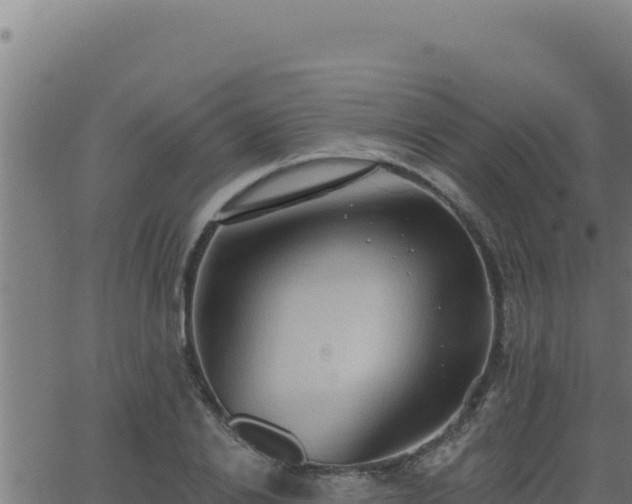 X0000062890838200601171511