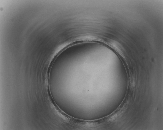 X0000062890839200601171511