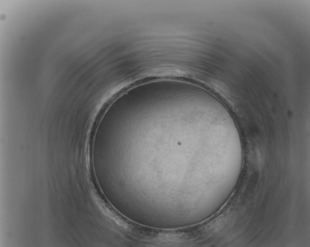 X0000062890840200601171511