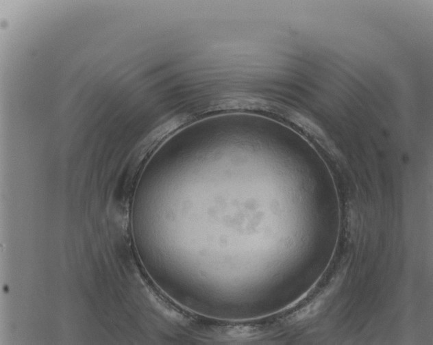 X0000062890841200601171511