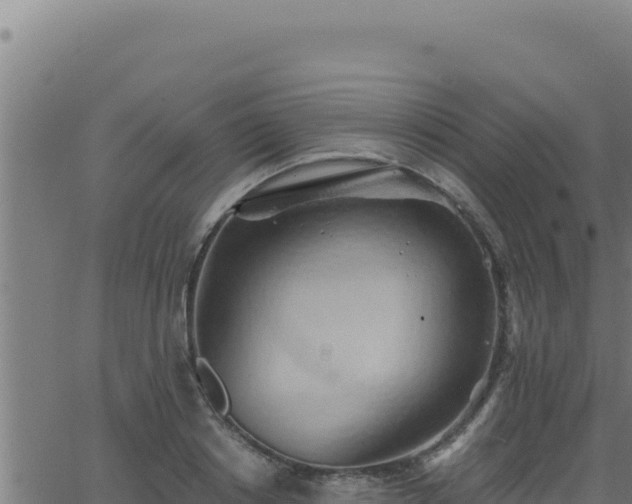 X0000062890842200601171511