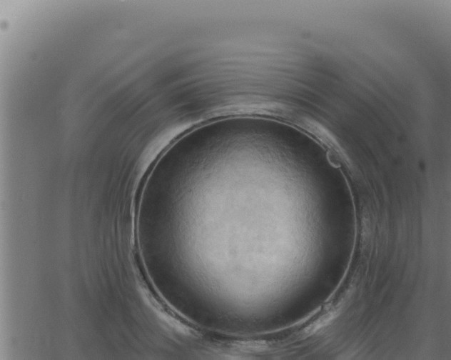 X0000062890844200601171511