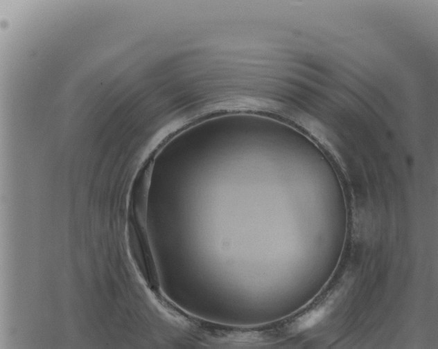 X0000062890845200601171511