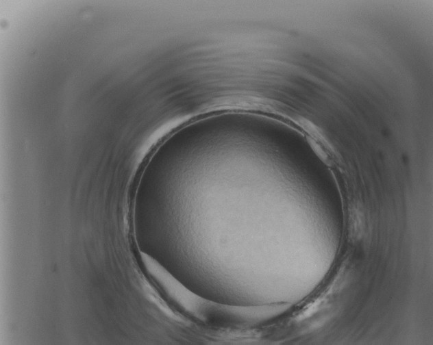 X0000062890846200601171511