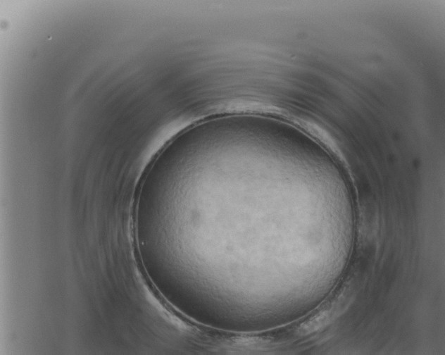 X0000062890847200601171511