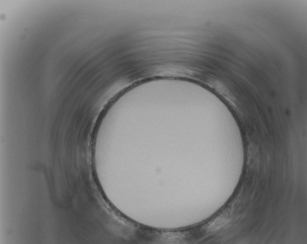 X0000062890848200601171511