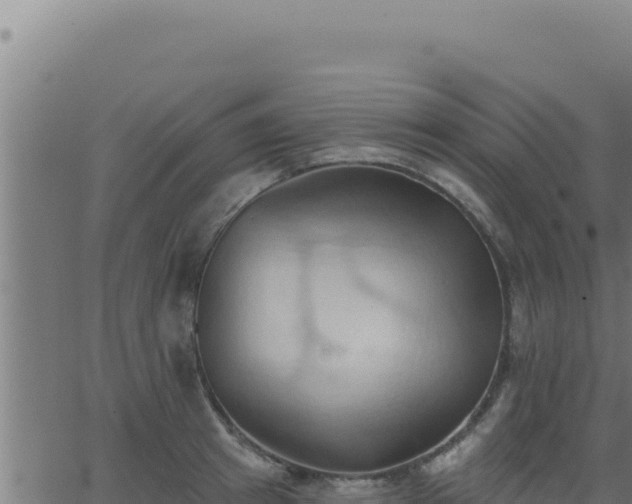 X0000062890849200601171511