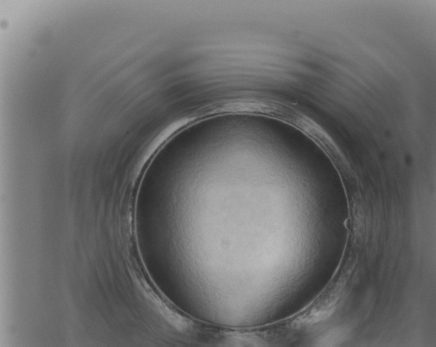 X0000062890852200601171512