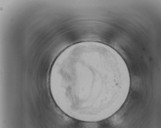 X0000062890856200601171512