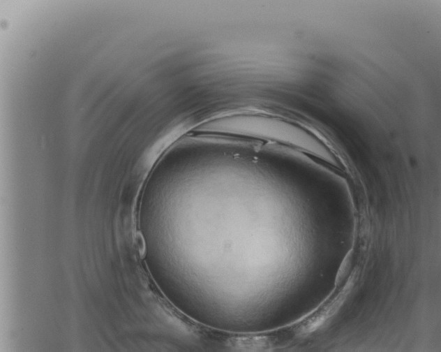 X0000062890858200601171512