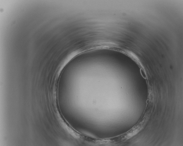 X0000062890859200601171512