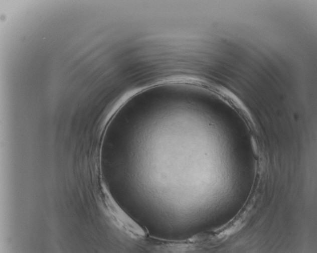 X0000062890860200601171512