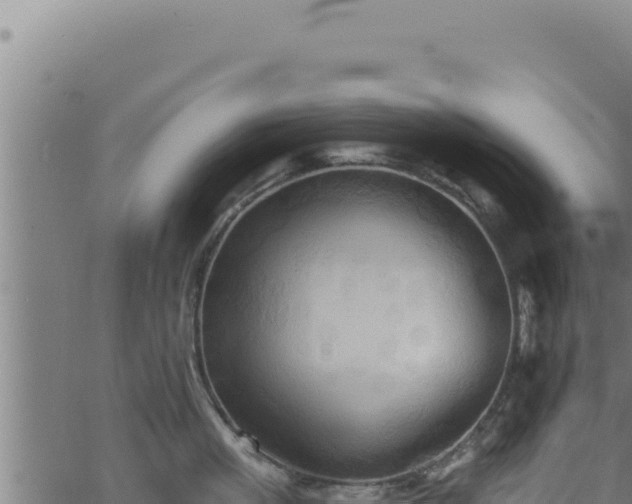 X0000062890861200601171512