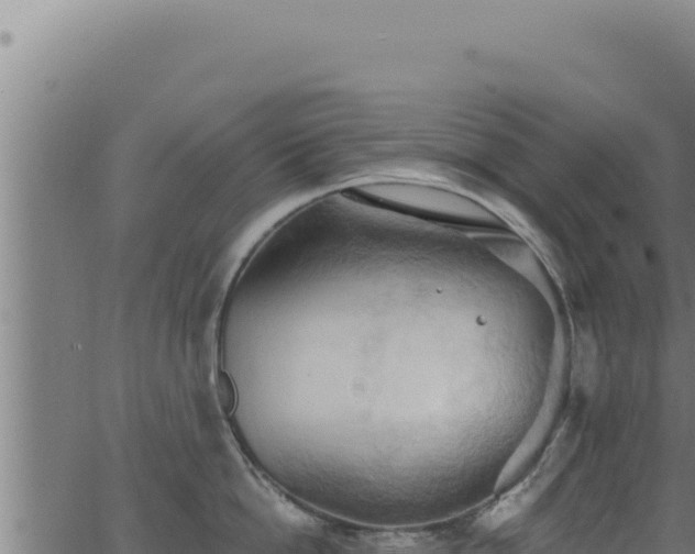 X0000062890862200601171512