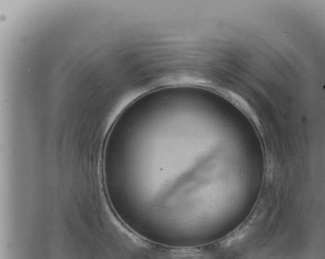 X0000062890863200601171512