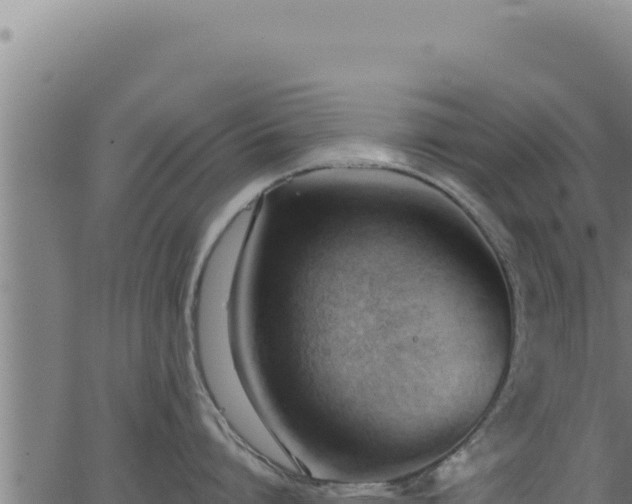 X0000062890864200601171512