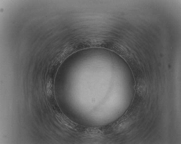 X0000062890866200601171511