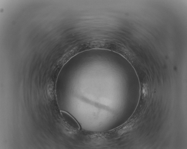 X0000062890867200601171511