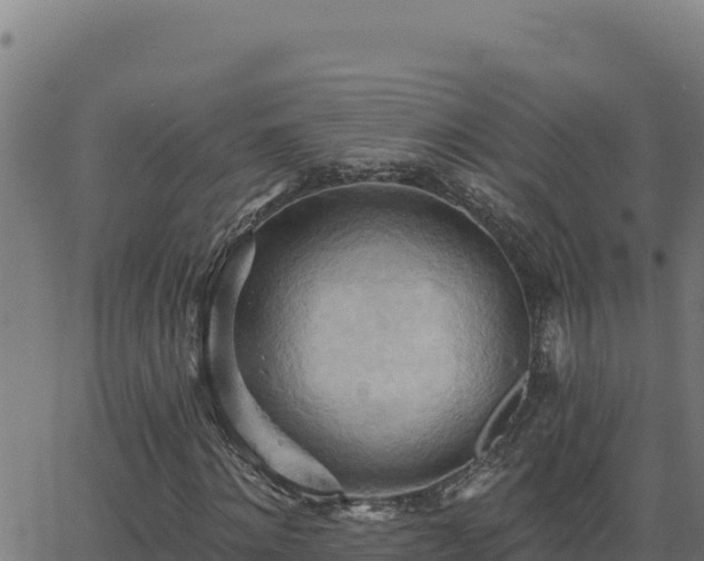 X0000062890868200601171511