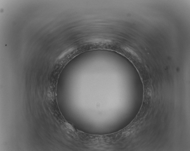 X0000062890869200601171511