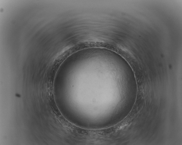 X0000062890870200601171511