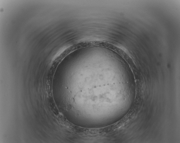 X0000062890871200601171511