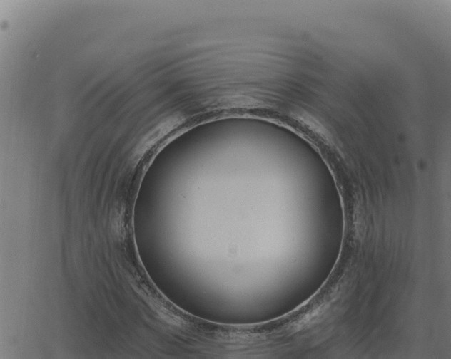 X0000062890873200601171511