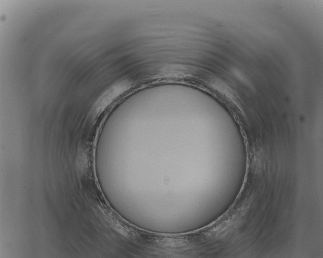 X0000062890874200601171511