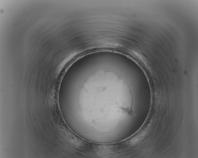 X0000062890875200601171511