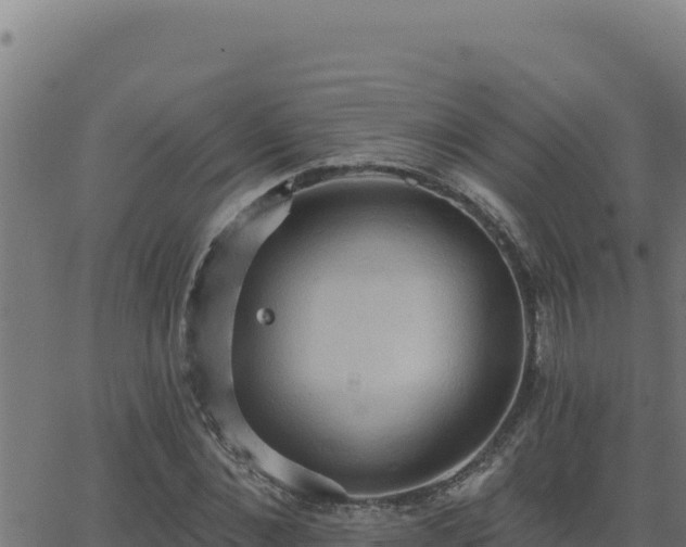 X0000062890876200601171511