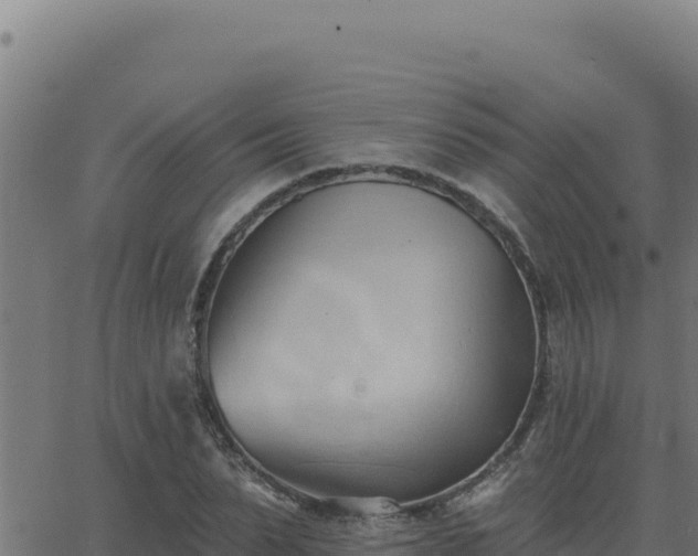 X0000062890879200601171511