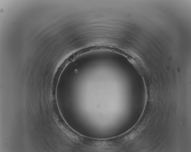 X0000062890880200601171511