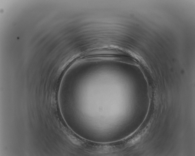 X0000062890881200601171511